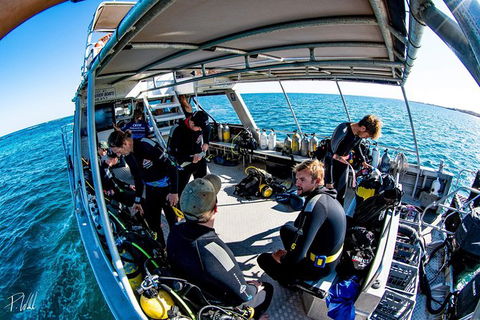 Ningaloo Adventure And Manta Ray Tour - Accommodation 4U 8