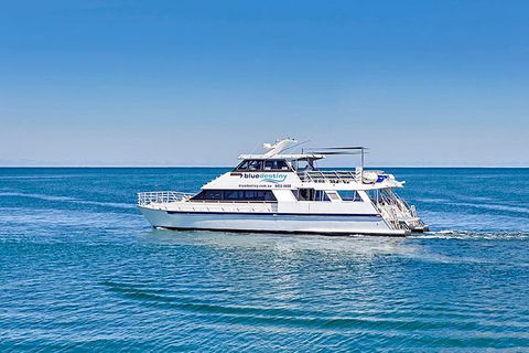 Rottnest Island Dive & Snorkel Day Trips - Accommodation 4U 0