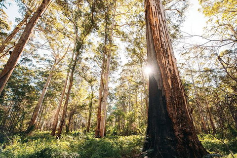 Margaret River 3 Day Escape - Accommodation 4U 2