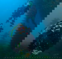 Scuba Dive The Beautiful Rottnest Island