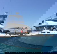 Single Boat Dive