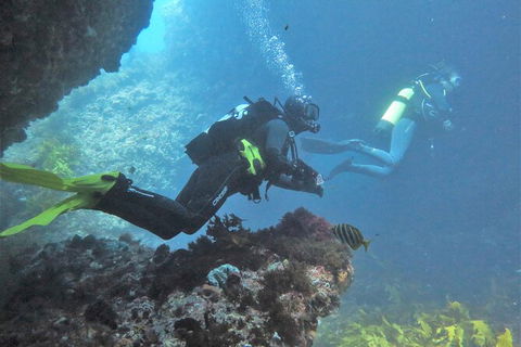 PADI Open Water Course - Accommodation 4U 2