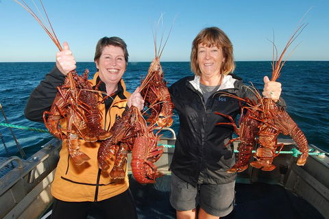 Abrolhos Islands 5 Day Tours - Accommodation 4U 1