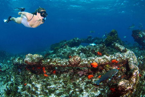 Abrolhos Islands 5 Day Tours - Accommodation 4U 3