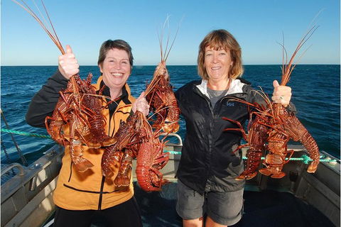 Abrolhos Islands 5 Day Tours - Accommodation 4U 0