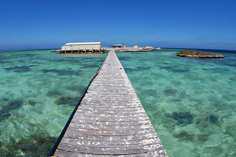 Abrolhos Islands 5 Day Tours - Accommodation 4U 4