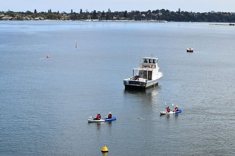 Cliffs And Caves Kayak Tour In Swan River - Accommodation 4U 5