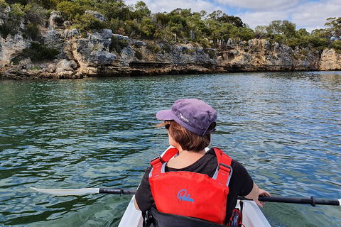 Cliffs And Caves Kayak Tour In Swan River - Accommodation 4U 1