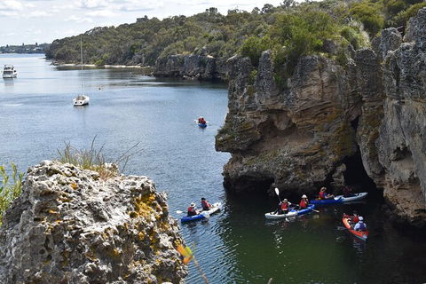 Cliffs And Caves Kayak Tour In Swan River - Accommodation 4U 2