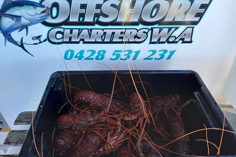 Lobster Fishing Tour At Geraldton - Accommodation 4U 0