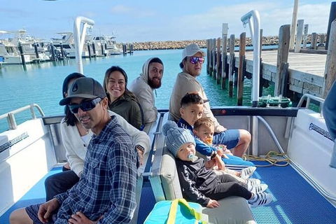 Whale Watching Boat Tour In Geraldton - Accommodation 4U 1