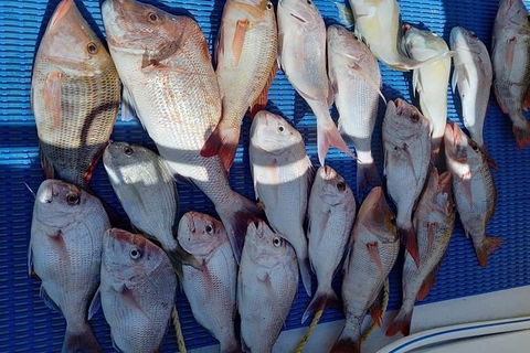 Geraldton Fishing Charter - Accommodation 4U 7