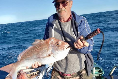 Geraldton Fishing Charter - Accommodation 4U 8