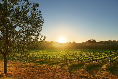 Private Barrel Hall Wine Tasting In The Margaret River Region - Accommodation 4U 3