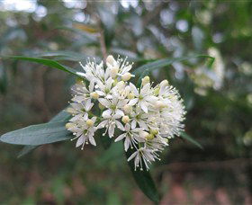 Booderee National Park - Accommodation 4U 0
