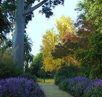 Albury Botanic Garden - Accommodation 4U