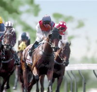 Colac Turf Club - Accommodation 4U