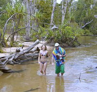 Tjuwaliyn / Douglas Hot Springs Park - Accommodation 4U