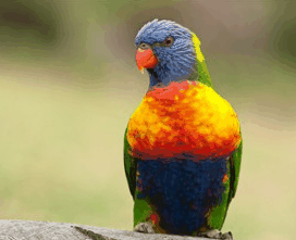 Booderee National Park - Accommodation 4U 1