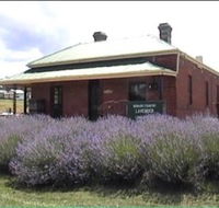 Lavender House in Railway Park - Accommodation 4U