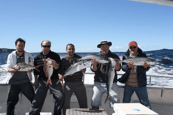 Jervis Bay Fishing And Charters - Accommodation 4U 2
