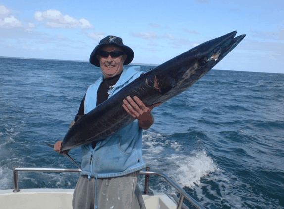 Jervis Bay Fishing And Charters - Accommodation 4U 4