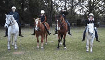 Valhalla Horse Riding - Accommodation 4U 1