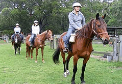 Valhalla Horse Riding - Accommodation 4U 2