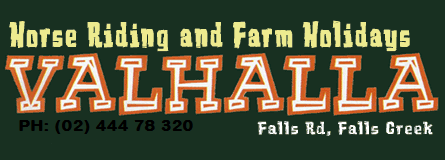 Valhalla Horse Riding - Accommodation 4U 4
