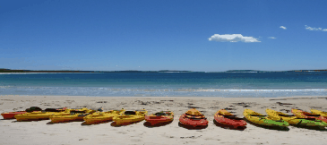 Jervis Bay Kayak & Paddlesports - Accommodation 4U 5