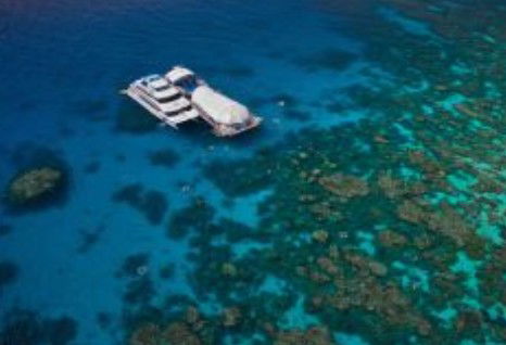 Great Adventures Reef And Green Island Cruises - Accommodation 4U 0
