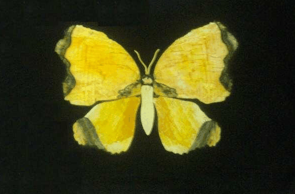 Home Hill QLD Accommodation 4U