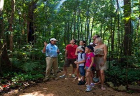 Ngadiku Dreamtime Walks - Mossman Gorge Centre - Accommodation 4U 1