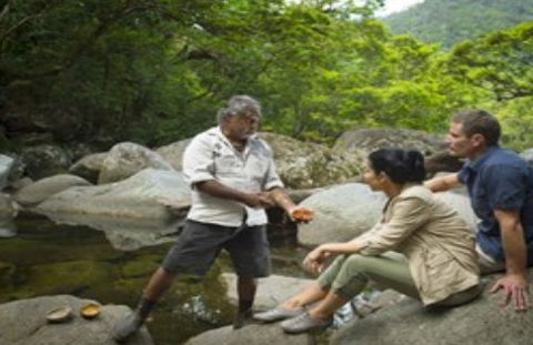 Ngadiku Dreamtime Walks - Mossman Gorge Centre - Accommodation 4U 3