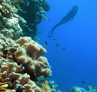 Reef Magic Cruises - Accommodation 4U