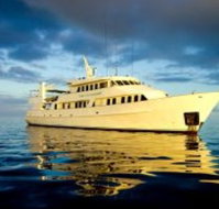 Spirit Of Freedom - Accommodation 4U