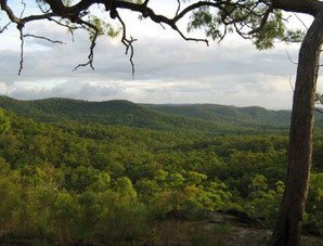 Cooktown Aboriginal Art Tours - Accommodation 4U 1