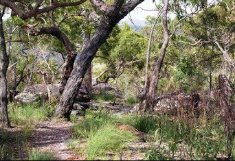 Cooktown Aboriginal Art Tours - Accommodation 4U 2