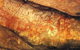 Cooktown Aboriginal Art Tours - thumb 5