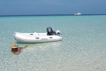 Adrenalin Snorkel And Dive - Accommodation 4U 4
