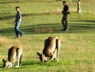 Southern Queensland Country QLD Accommodation 4U