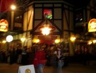 The Elephant - Accommodation 4U 3