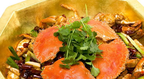 Red Chilli Sichuan Restaurant - Accommodation 4U 1