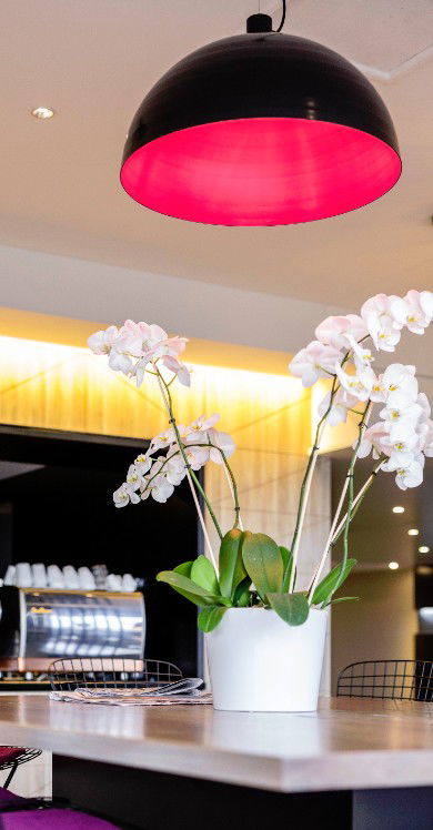 MRepublic Restaurant, Bar And Lounge - Accommodation 4U 4