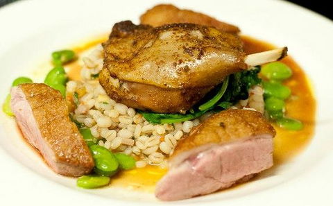 Vine Restaurant - Accommodation 4U 4