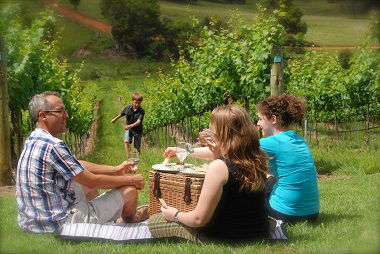 Oceanview Estate Winery / Restaurant - Accommodation 4U 7
