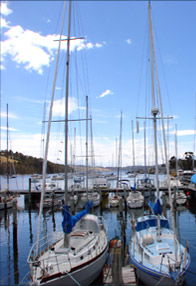 Sandford TAS Accommodation 4U