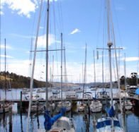 Oyster Cove Inn - Accommodation 4U