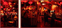 Tiger Lils - Accommodation 4U 2