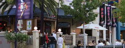 Tiger Lils - Accommodation 4U 3